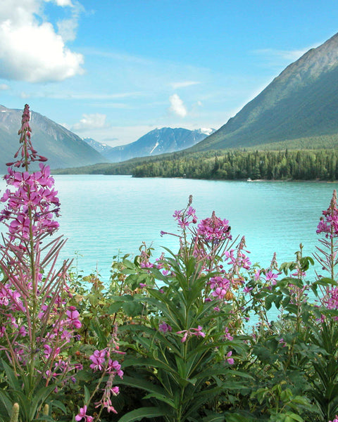 Made in Alaska